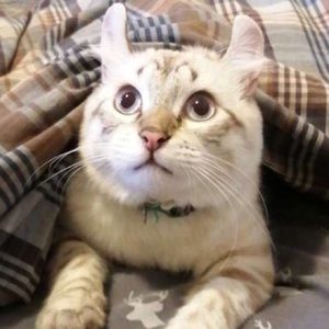 Meet your Posher, Marie-Ève